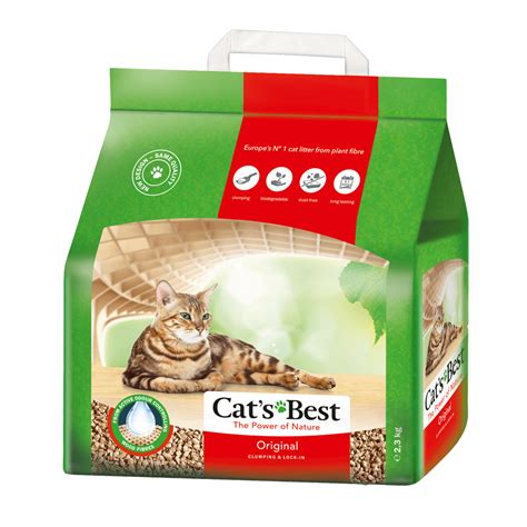 best cat lotter
